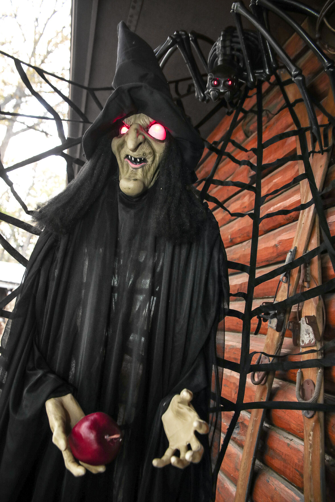 abbott halloween home 110121 0272.jpg